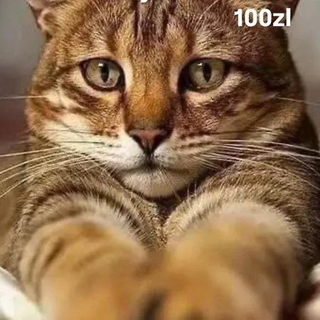 Platinum Towersapartments Parking